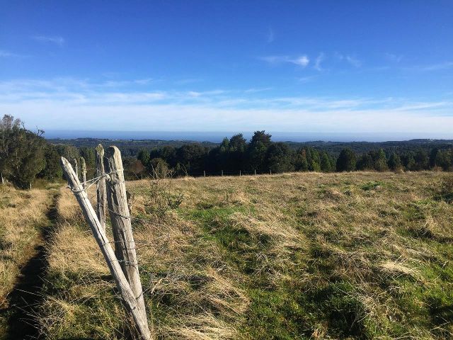 Lote Pradera