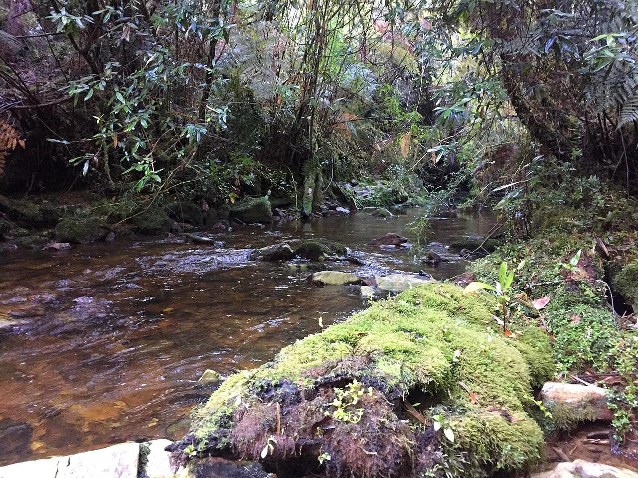 Lote Ribereño