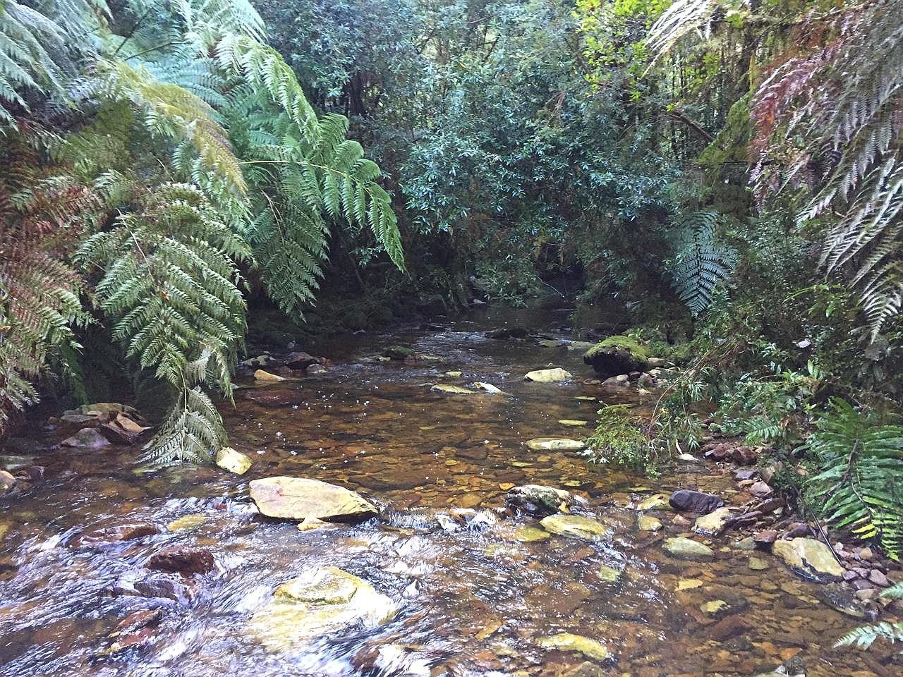 Río Pescado