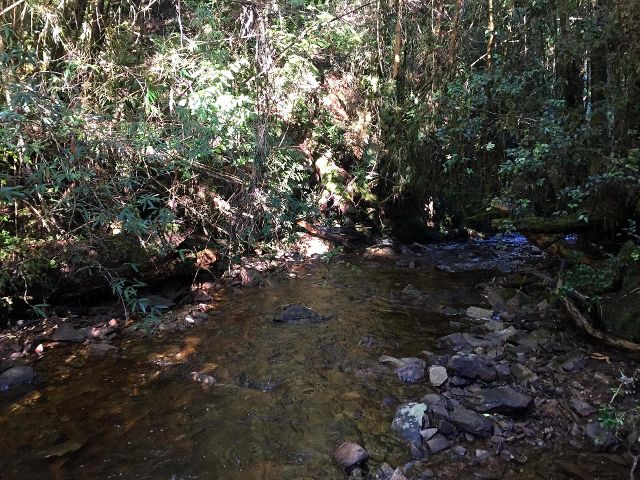 Río Pescado aguas